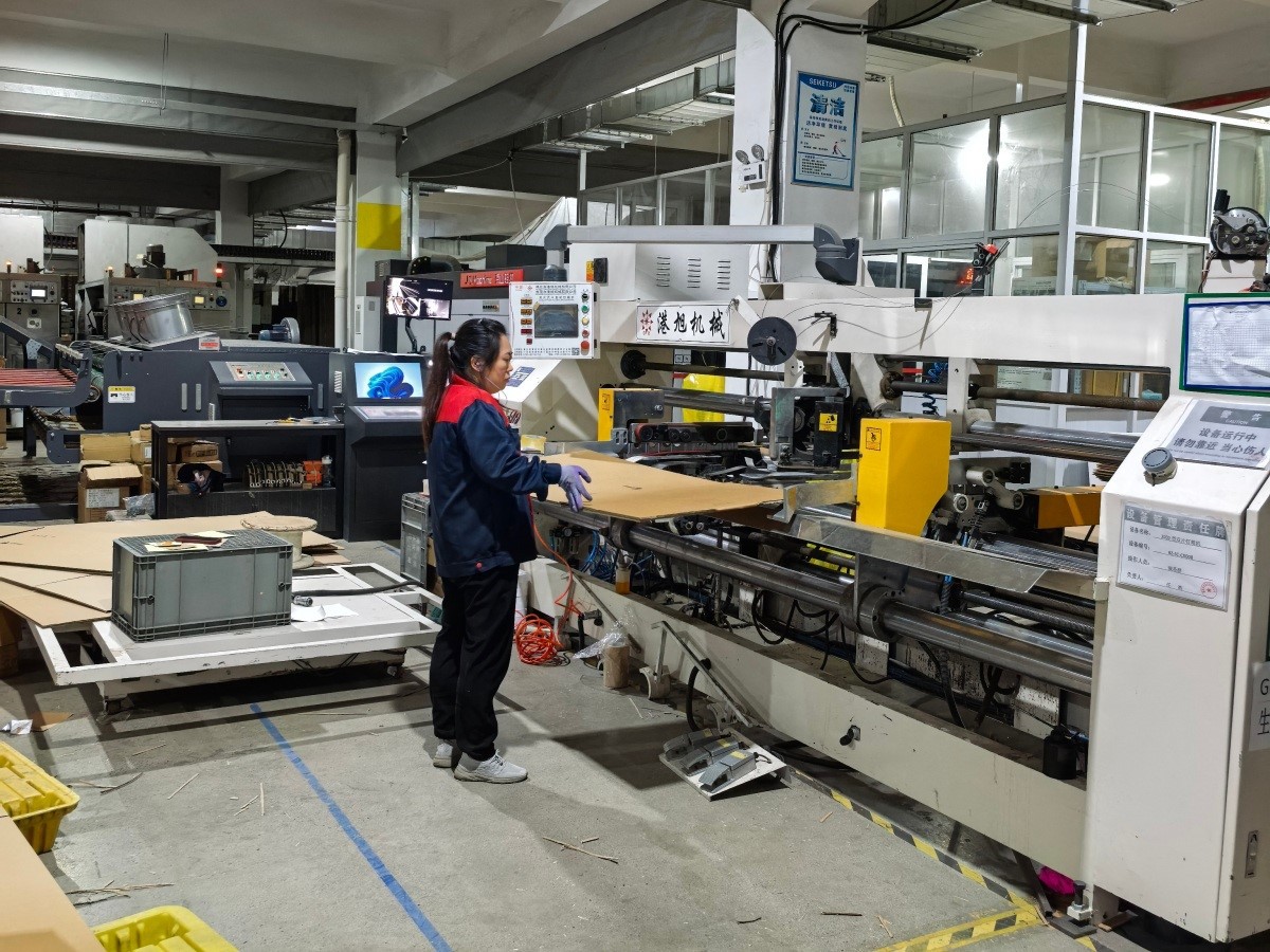 IMG20251117165059 IMG20251117165059